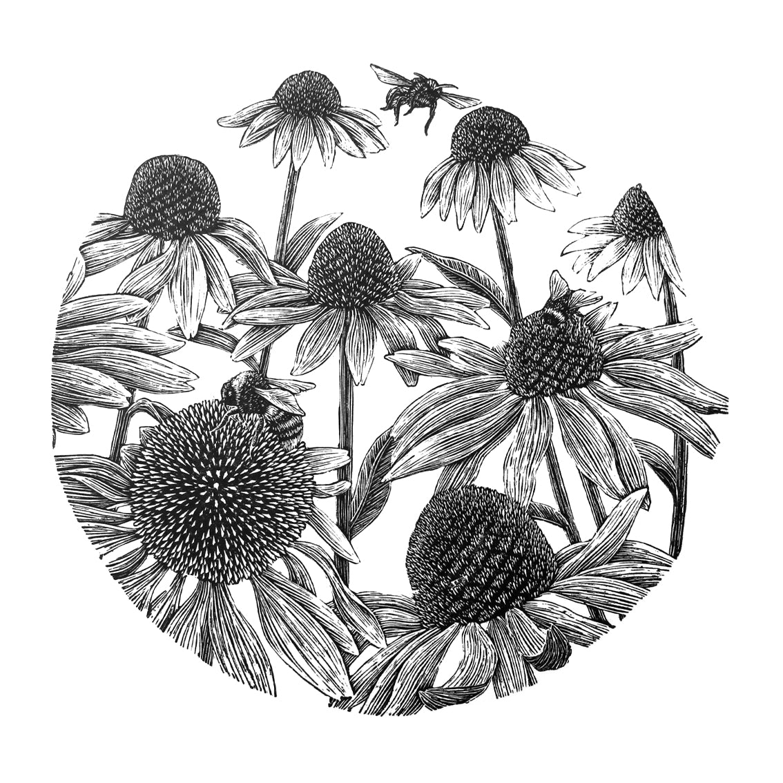 'Bees and Echinacea II 2023' Print