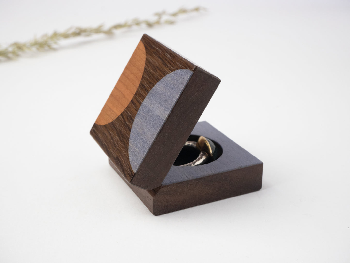 Helia Single Ring Box 4