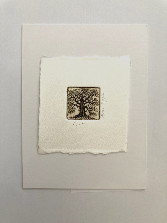 'Oak' Print