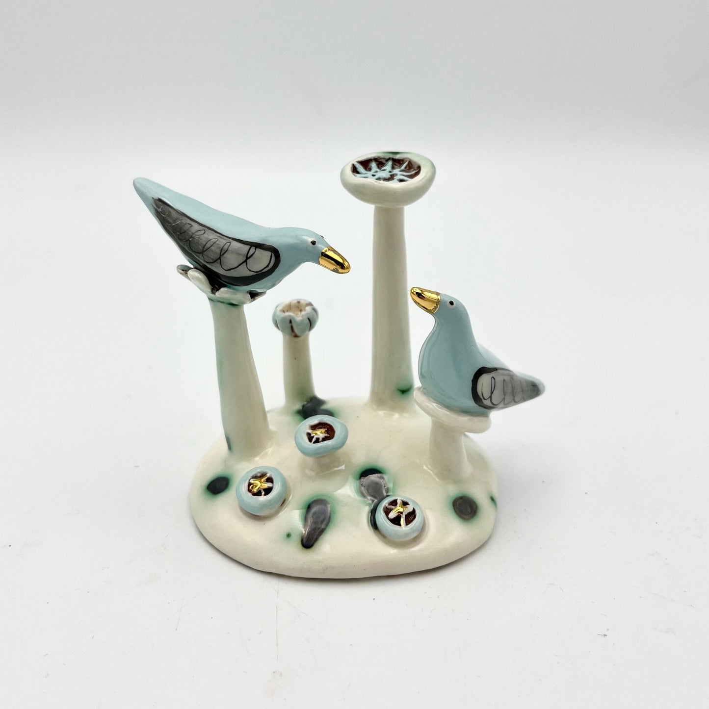Turquoise Birds