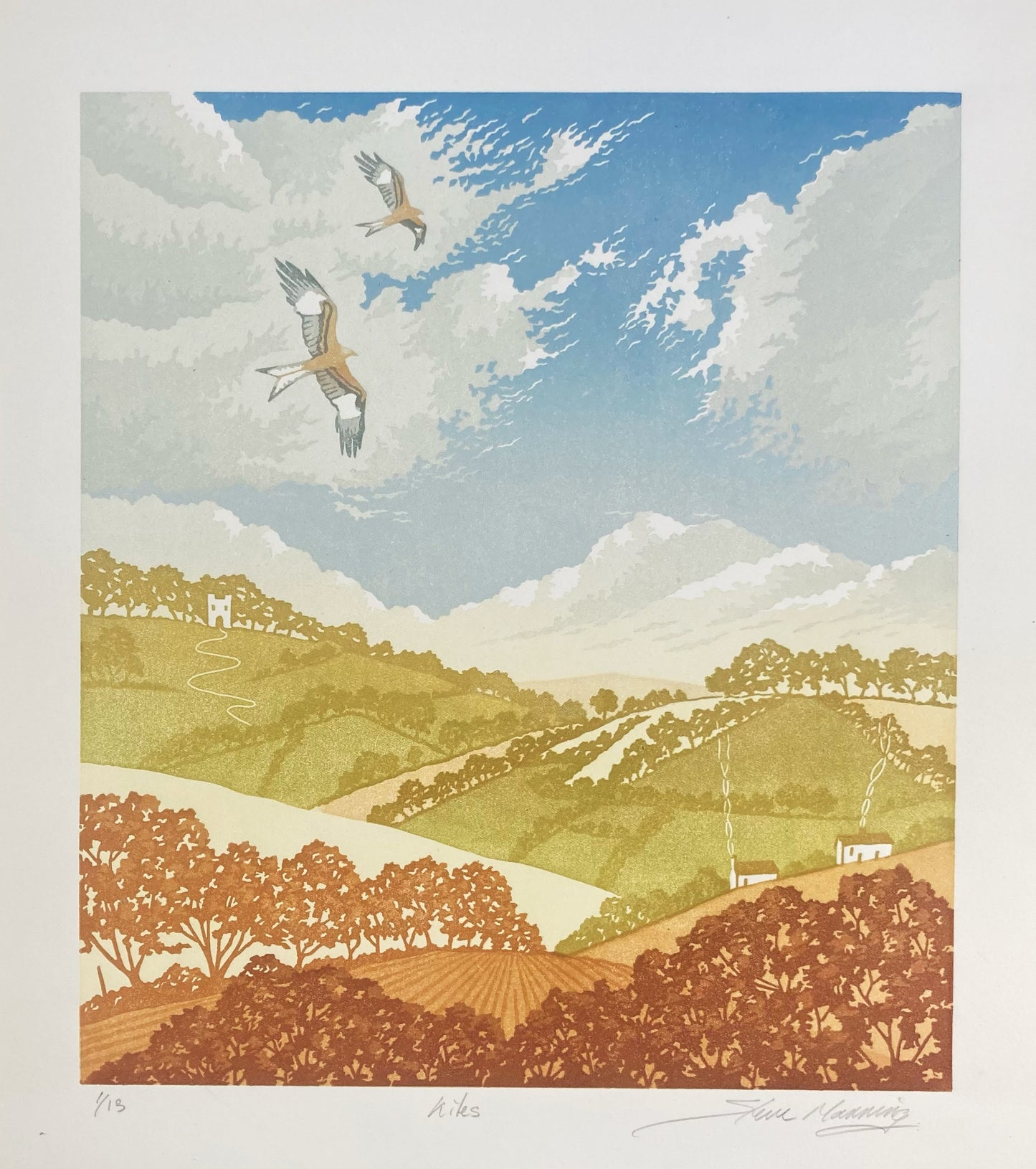 Kites - Print
