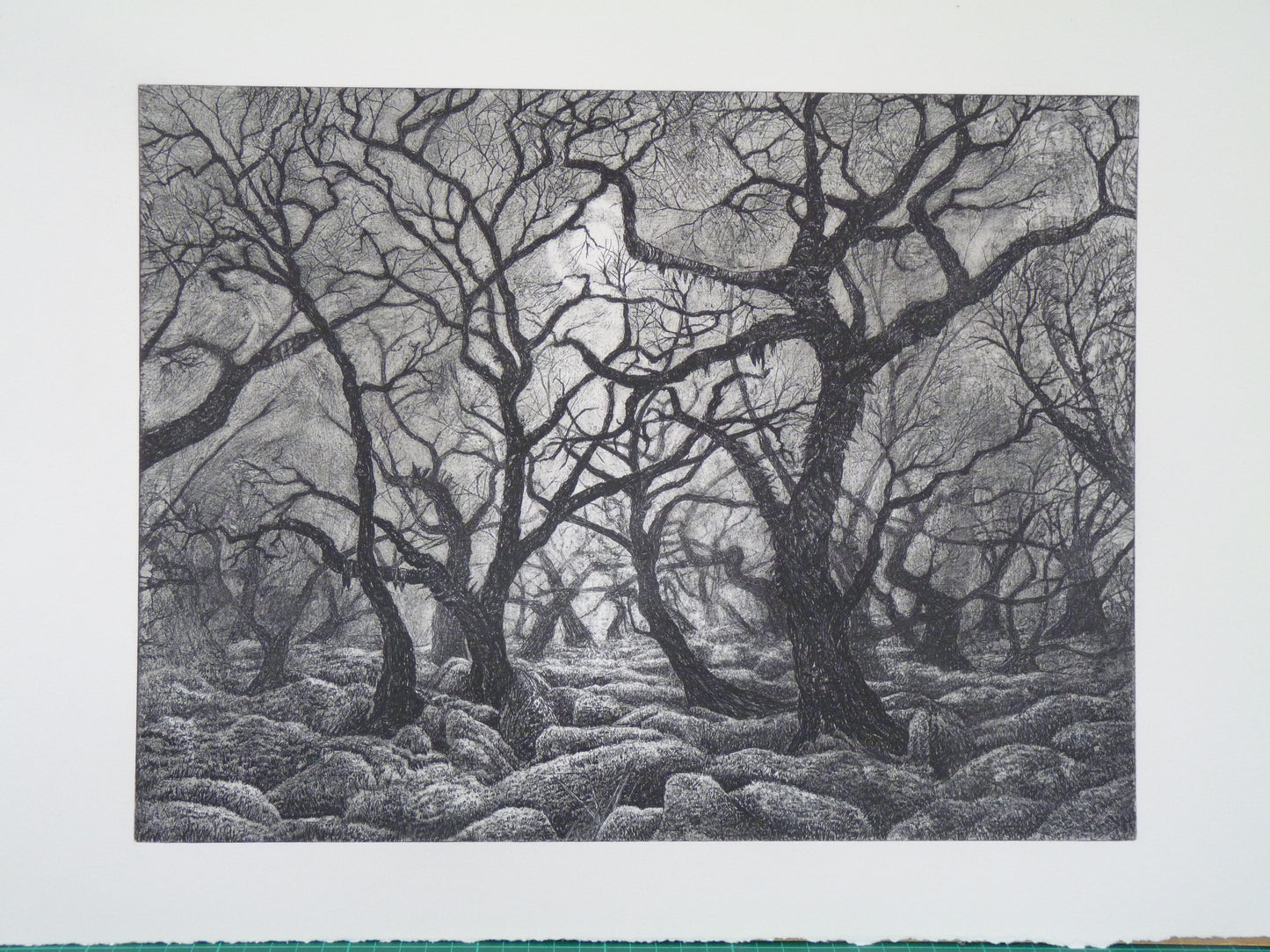 'Mystical Wistman's Wood' Print
