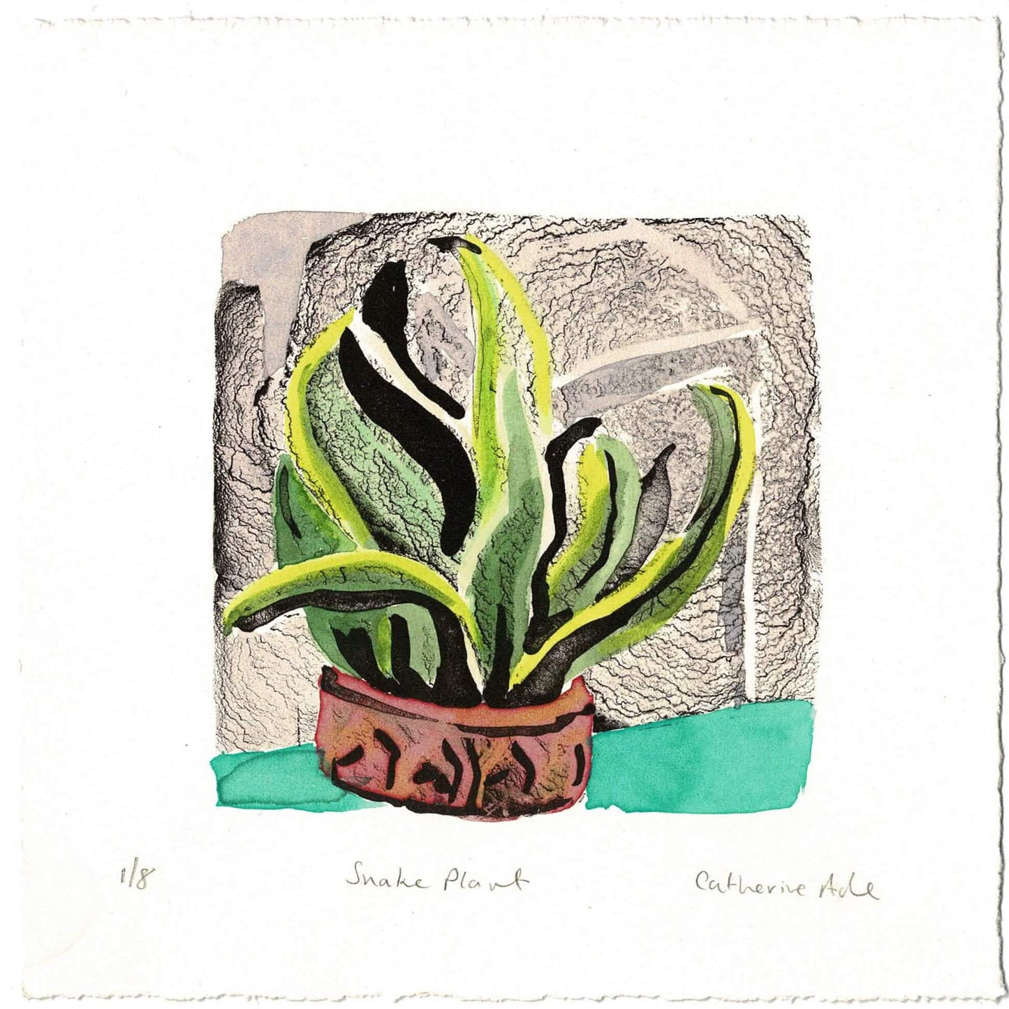 'Snake Plant' Print