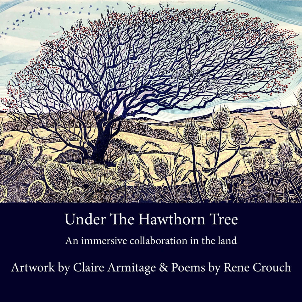 Under the Hawthorn Tree book