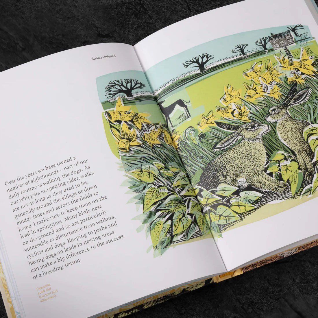 Spring Unfurled - A Printmakers View