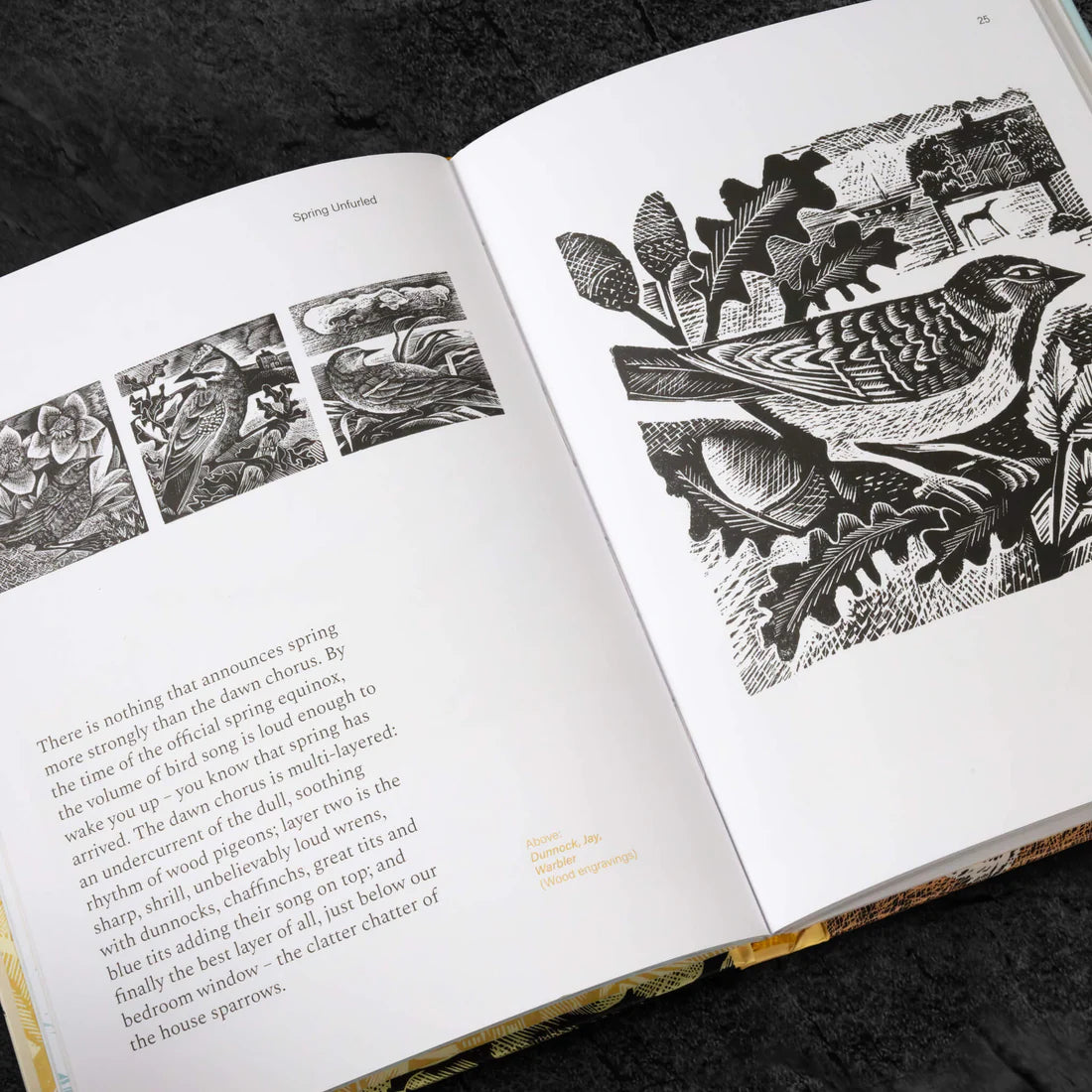 Spring Unfurled - A Printmakers View