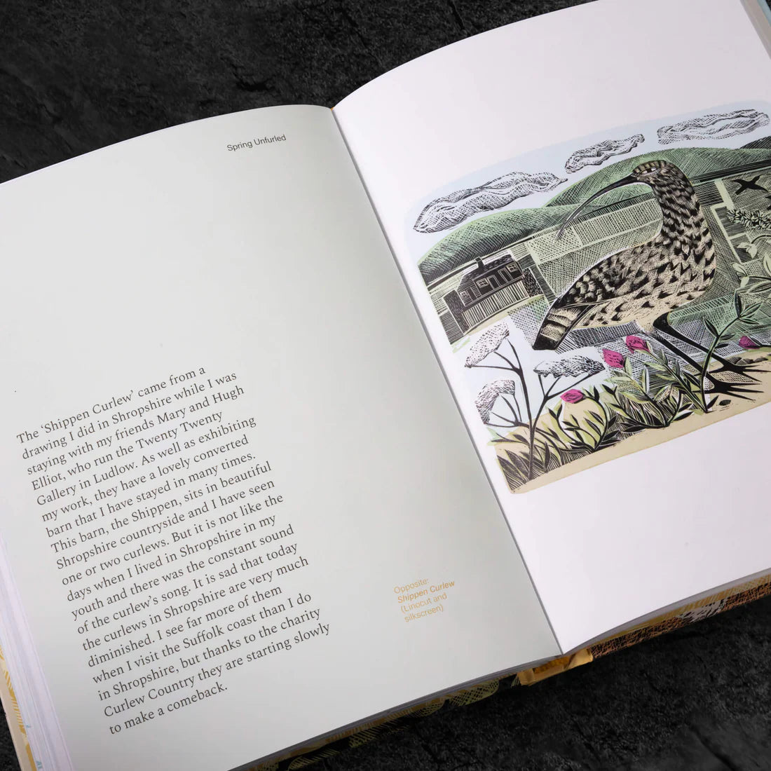 Spring Unfurled - A Printmakers View