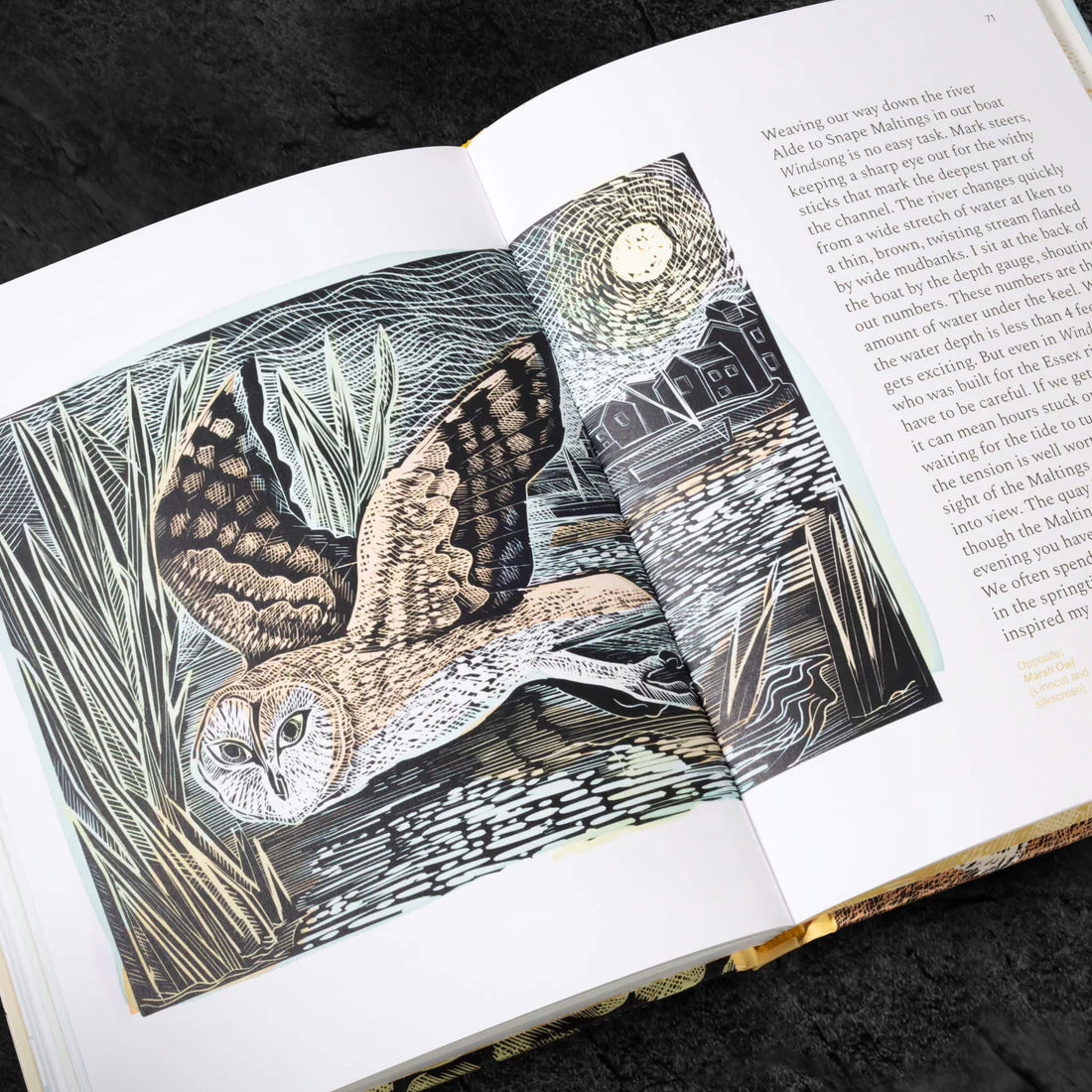 Spring Unfurled - A Printmakers View