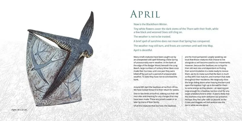 'Both Sides' Book