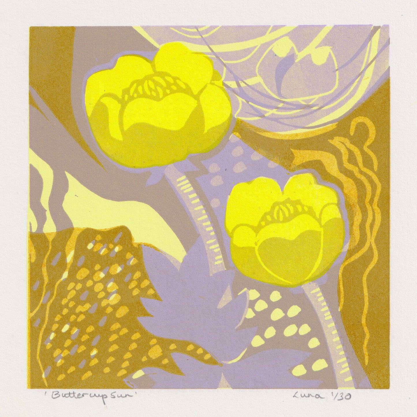 Buttercup Sun - Print