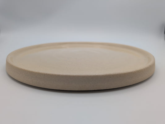White dinner plates