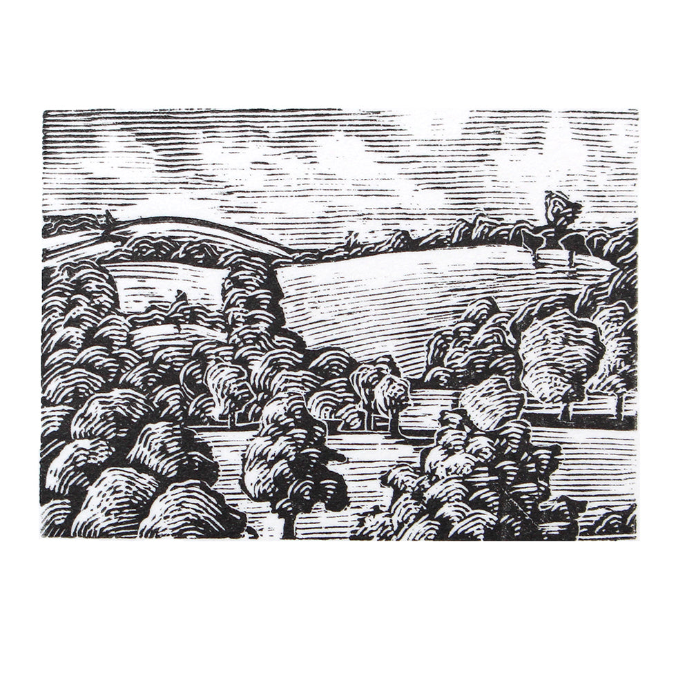 'Devon Study 2022' Print