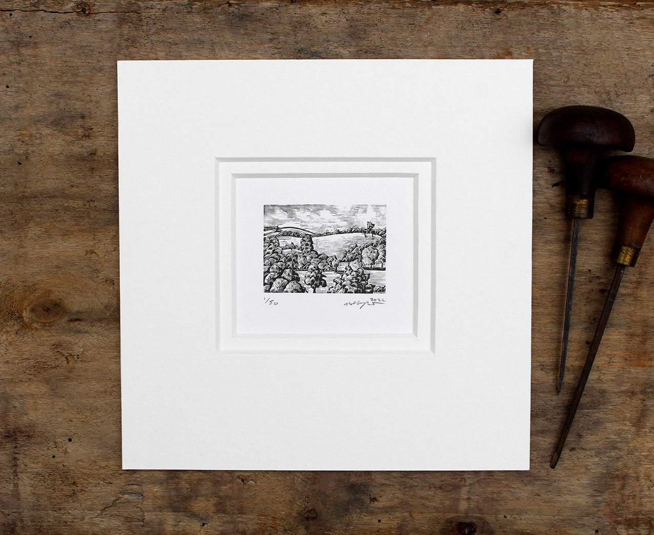 'Devon Study 2022' Print
