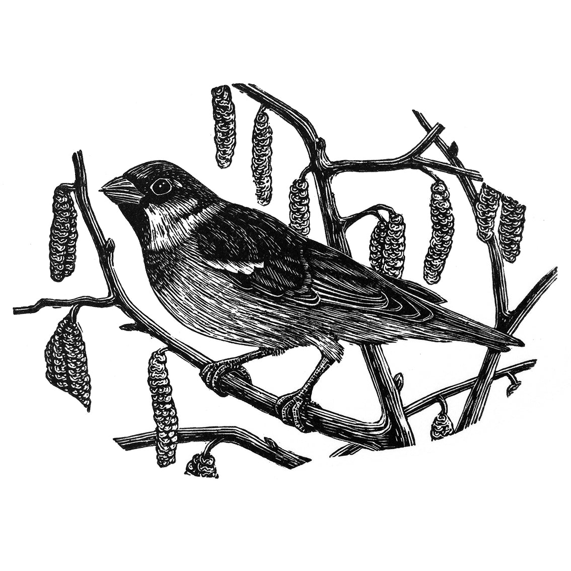 'House Sparrow 2023' Print