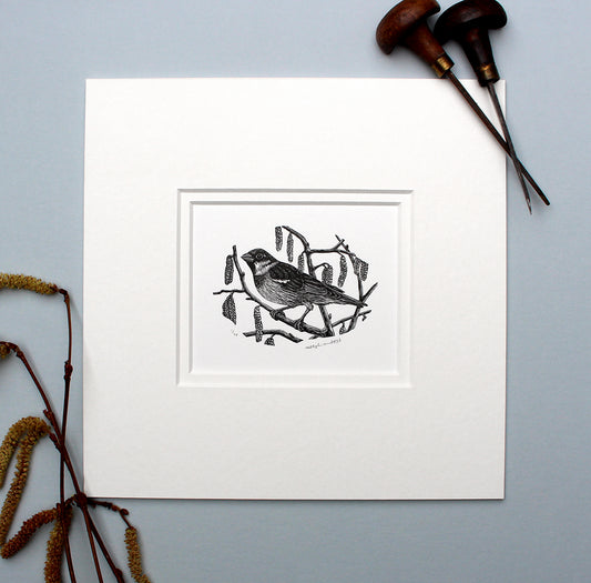 'House Sparrow 2023' Print