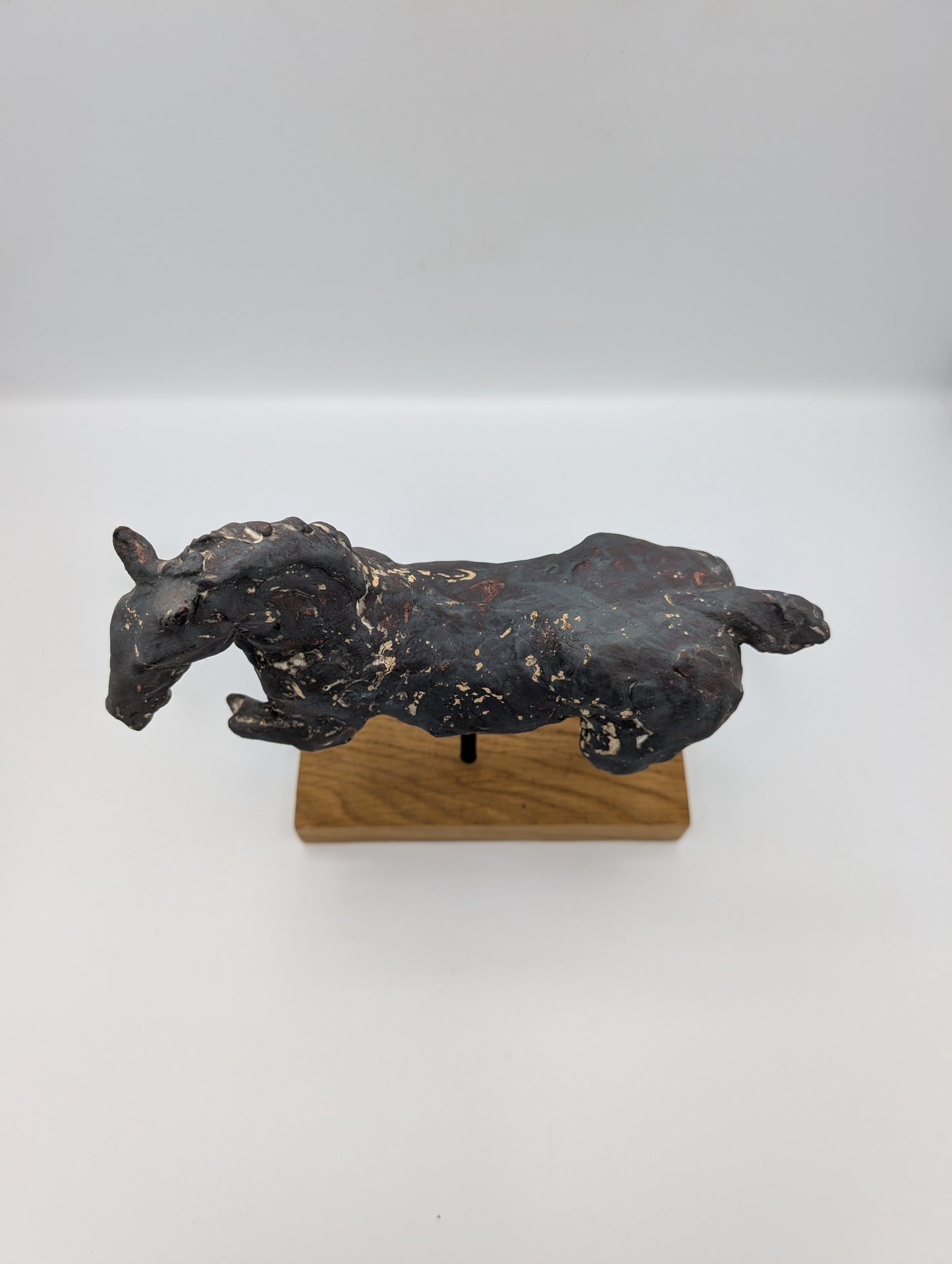 Horse #5