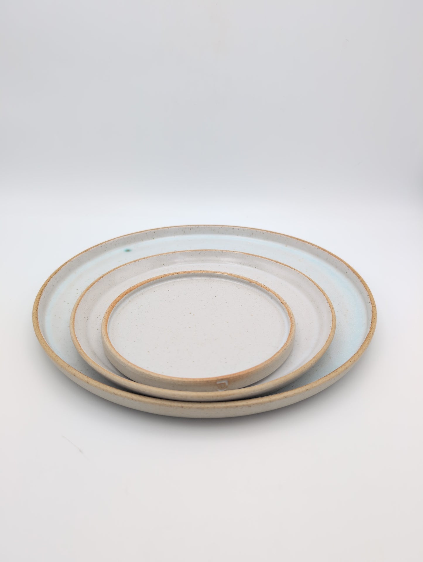 Ceramic Dinner Plate