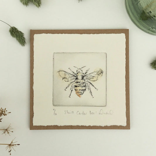 'Shrill Carder Bee' Print