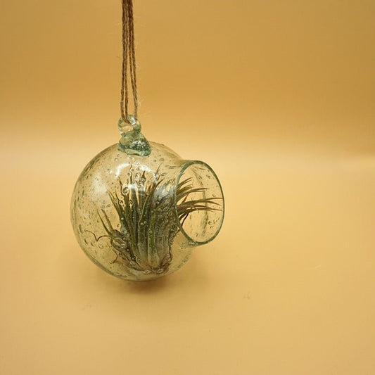 Handblown Upcycled Glass Terrarium by The Upcycled Glass Company C.I.C.