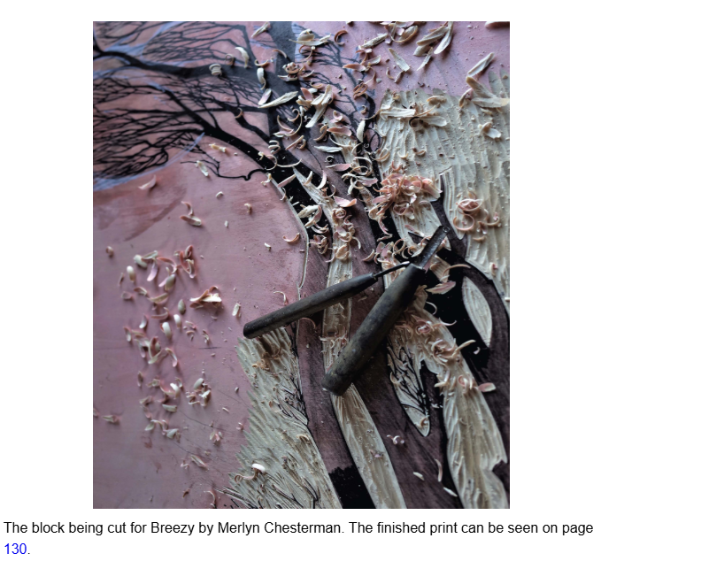 Twenty Concepts in Woodblock Printing