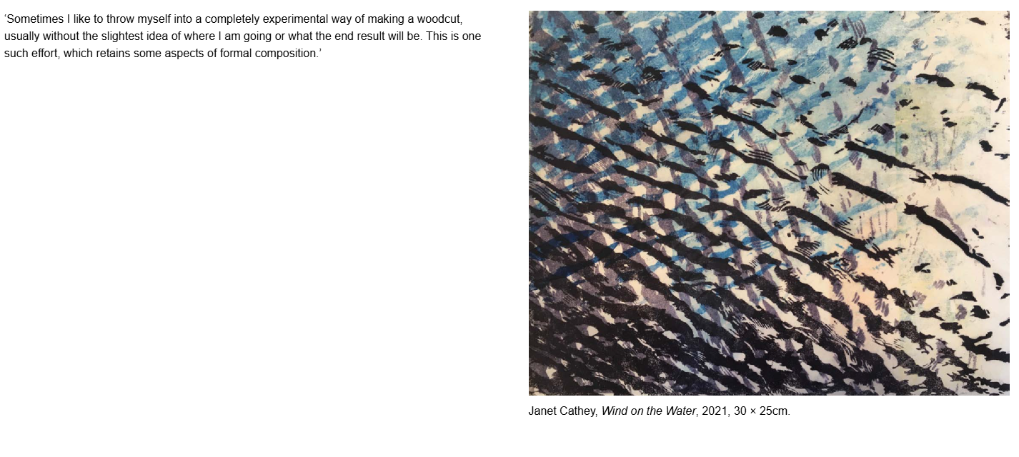 Twenty Concepts in Woodblock Printing