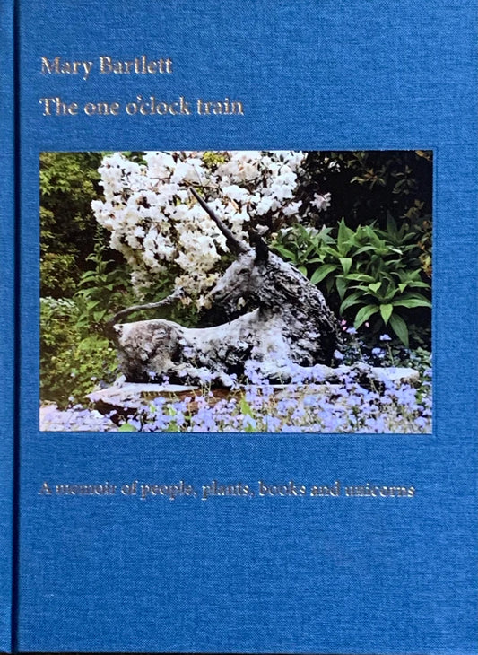 The One O'clock Train by Mary Bartlett