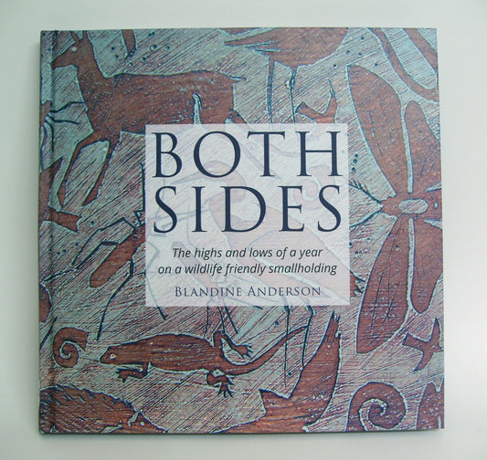 'BOTH SIDES' book by Blandine Anderson