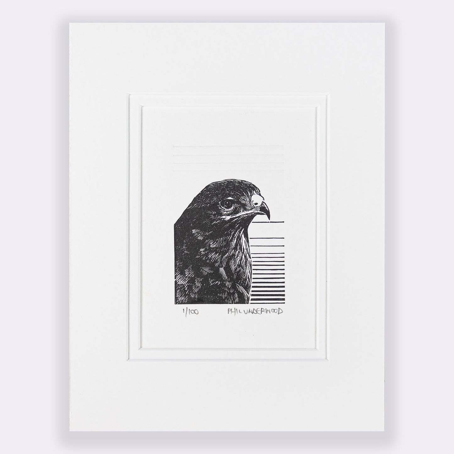 'Buzzard' Print