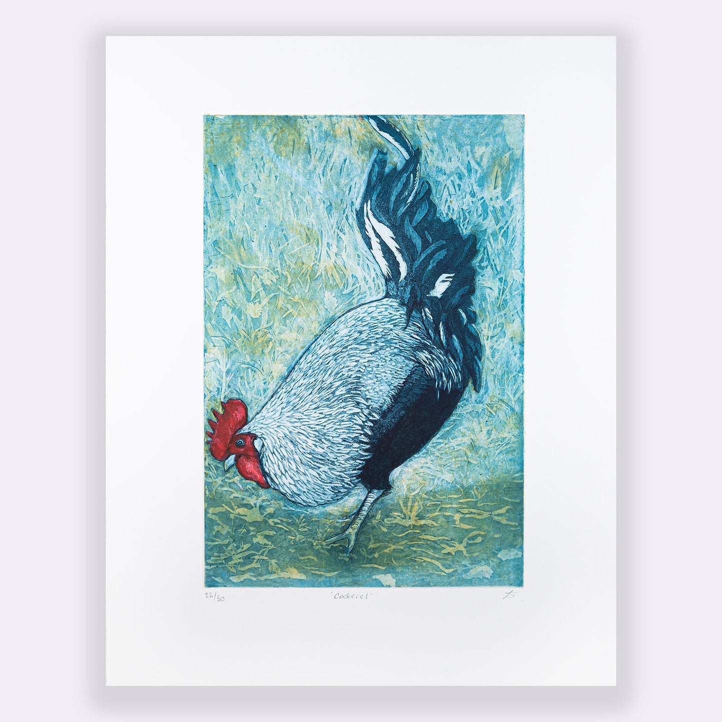 'Cockerel' Print