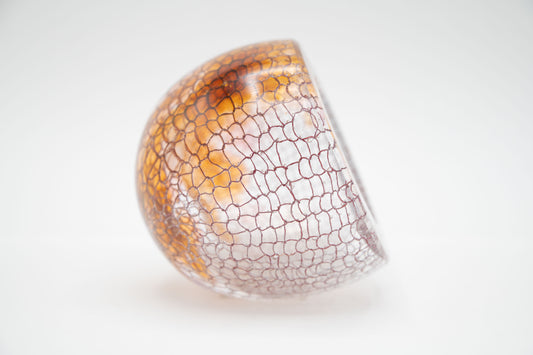 Apricot Del Mar