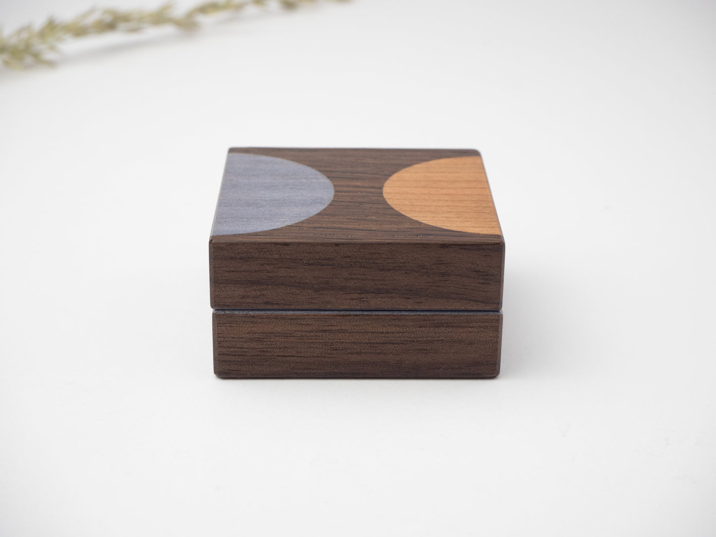 Helia Single Ring Box 4