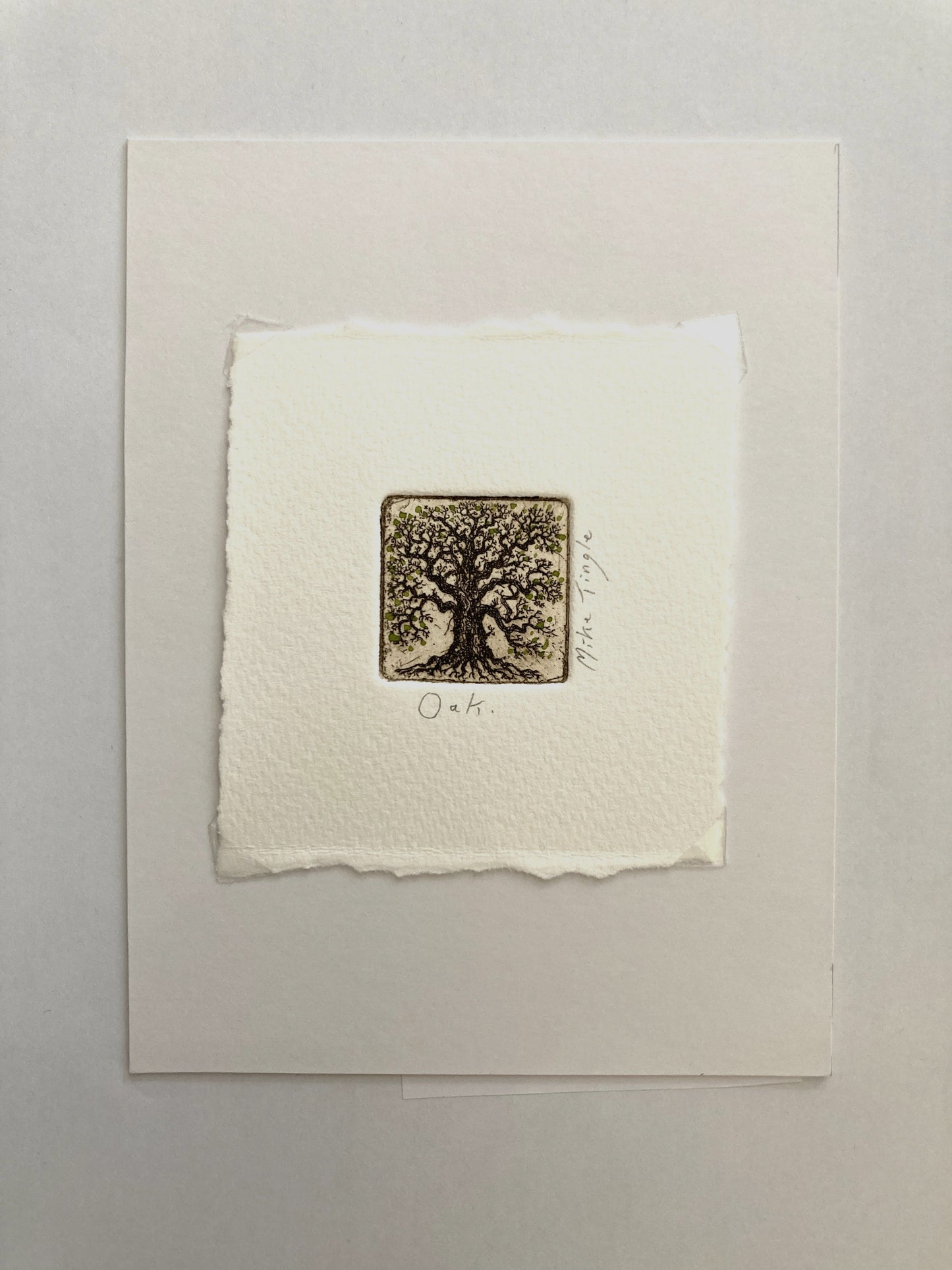 Oak