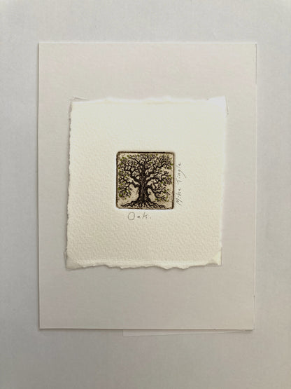 Oak