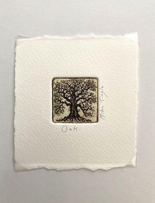 Oak