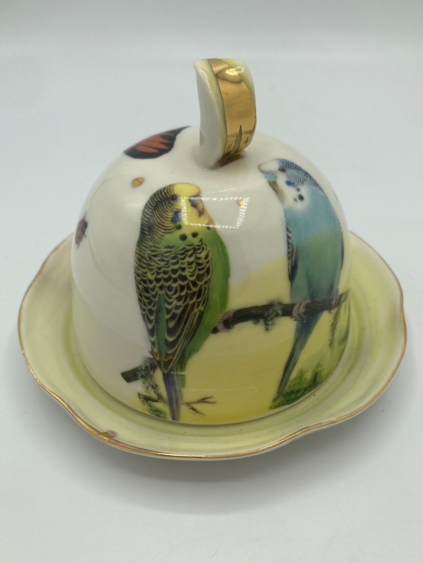 Budgie Butter Dish
