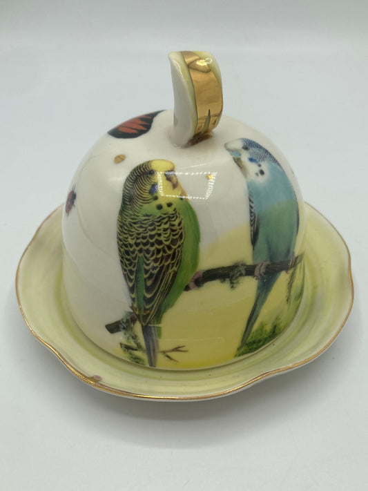 Budgie Butter Dish