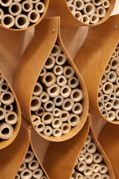Dew Drop Bee Hotel