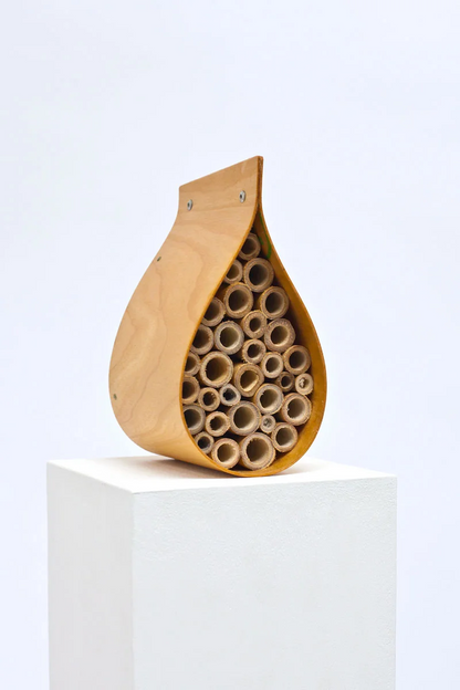 Dew Drop Bee Hotel