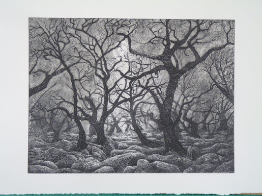 'Mystical Wistman's Wood' Print