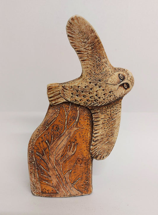 Owl in Spring and Autumn