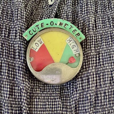 'Cute-o-meter' brooch