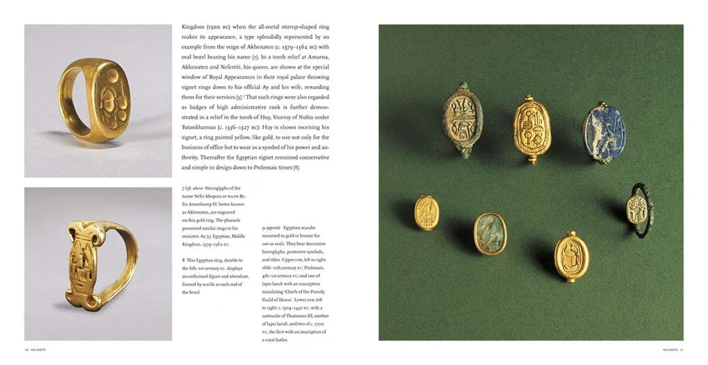 Rings by Diana Scarisbrick