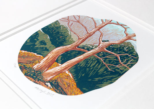 'Rusty Reds 2025' unframed print