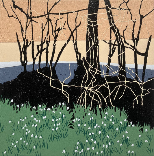 Snowdrops