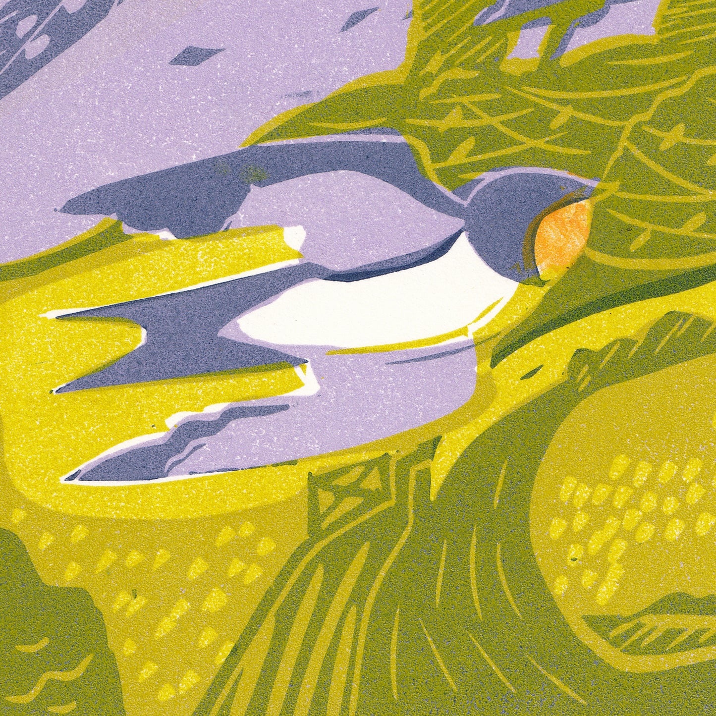 Summer Swallows - Print