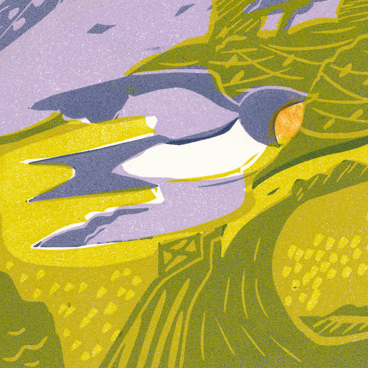 Summer Swallows - Print