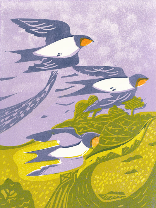 Summer Swallows - Print