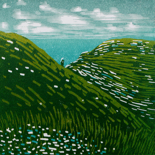 Tintagel Study 2024