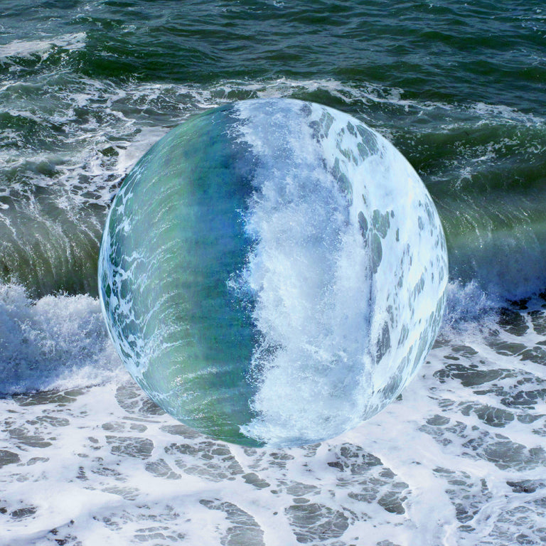 Water Worlds: Reflections in a Tidepool