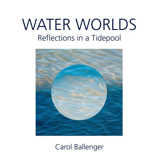 Water Worlds: Reflections in a Tidepool